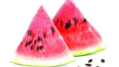 Photo of بذور البطيخ.. فوائد مذهلة للجسم