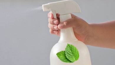 Photo of النعناع للتخلص من حشرات المنزل! هكذا تستخدمينه