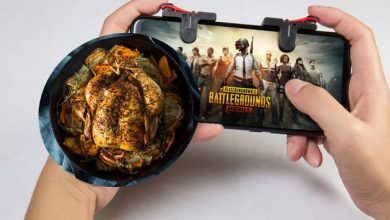 Photo of كلنا نعلم بلعبة “PubG” لكن هل سمعت عن دجاج PubG؟!