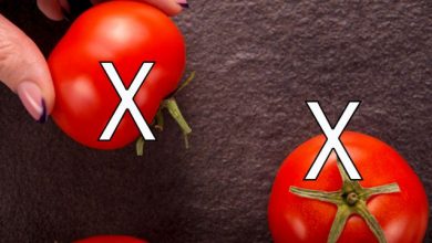 Photo of خطأ نرتكبه عند حفظ الطماطم… إليك الطريقة الصحيحة لحمايتها من التعفن