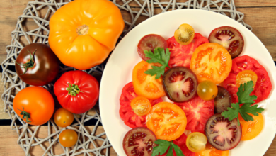 Photo of باحثون صينيون يبتكرون طريقة جديدة لإنتاج ” طماطم ملونة ” بسرعة قياسية