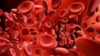 Photo of خمسة أطعمة يمكن أن تمنع الدم من الحركة و تسبب جلطات دموية خطيرة