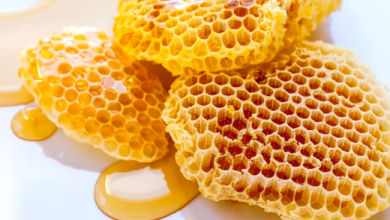 Photo of ما هي فوائد و مضار عسل النحل على الصحة ؟