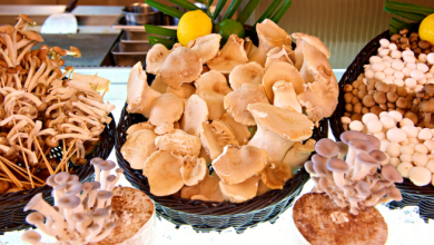 Photo of تقارير صحية : الفطر غذاء مستقبلي خارق
