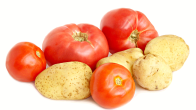 Photo of دراسة : الطماطم و البطاطا علاج محتمل للسرطان