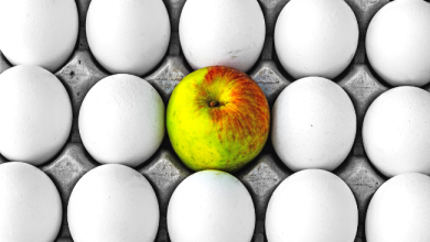 Photo of ما هي فوائد التفاح و البيض لصحة الإنسان ؟