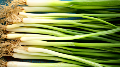 Photo of البصل الأخضر .. فوائد خارقة لصحة جسمك