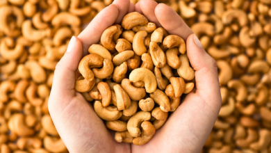 Photo of الكاجو يقلل أعراض النقرس